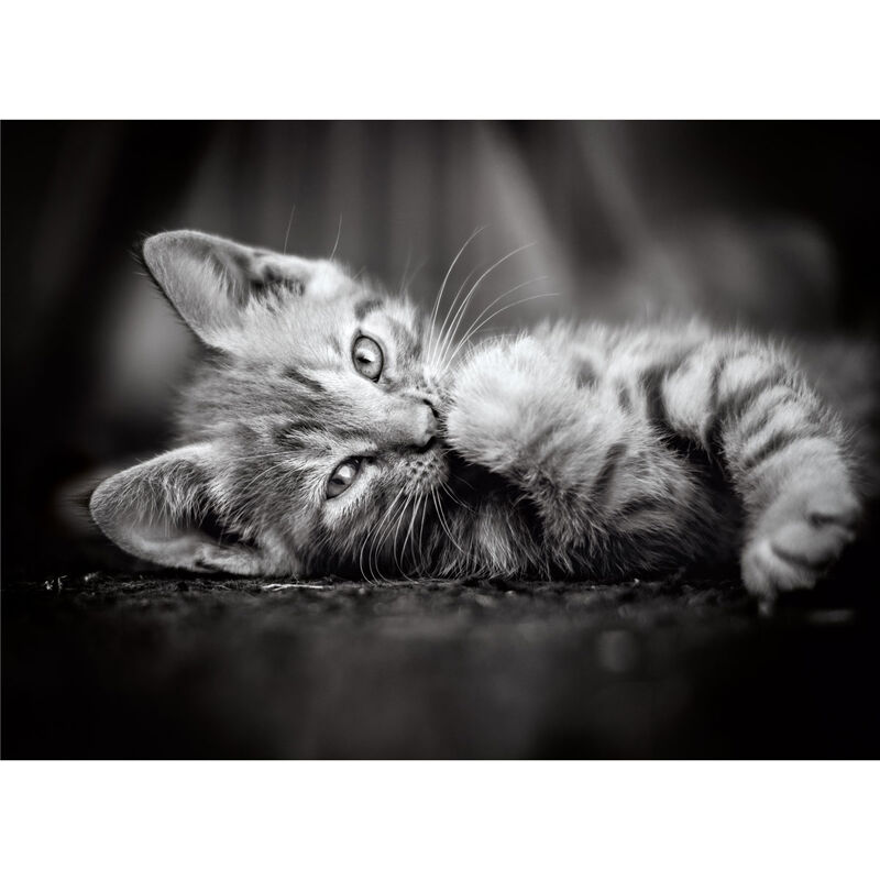 Kitty puzzle 1000pcs