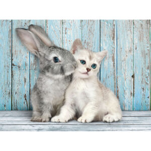 Cat and Bunny puzzle 500pcs