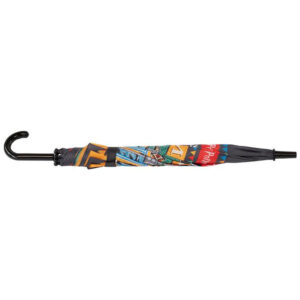 Harry Potter automatic transparent umbrella 48cm