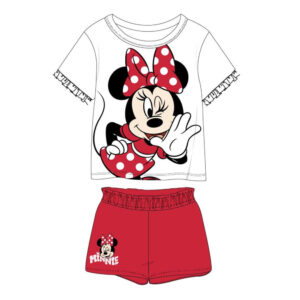 Disney Minnie outfit