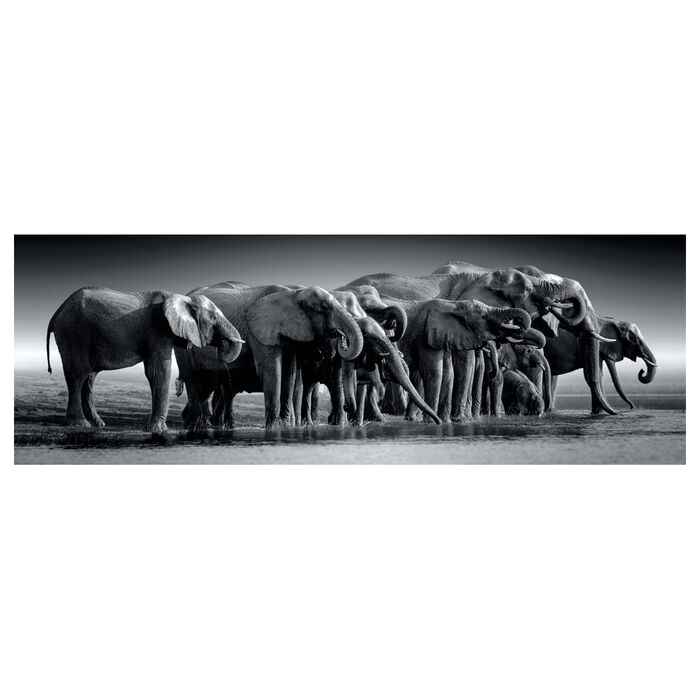 Herd of Giants Panorama puzzle 1000pcs - Image 2